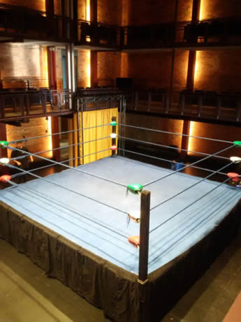 16' x 16' x 3' Ring with Blue Ropes and Blue Canopy