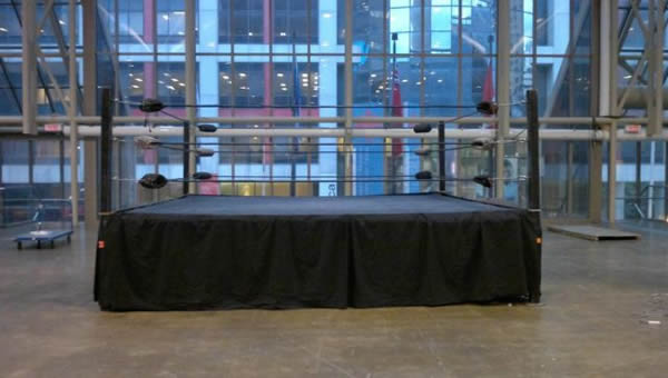 16' x 16' x 3' Ring with Black Ropes and Black Canopy